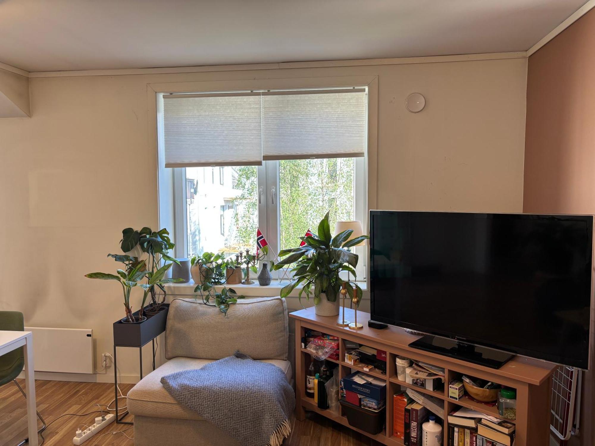 Appartement Sentral Pa Mohlenpris *